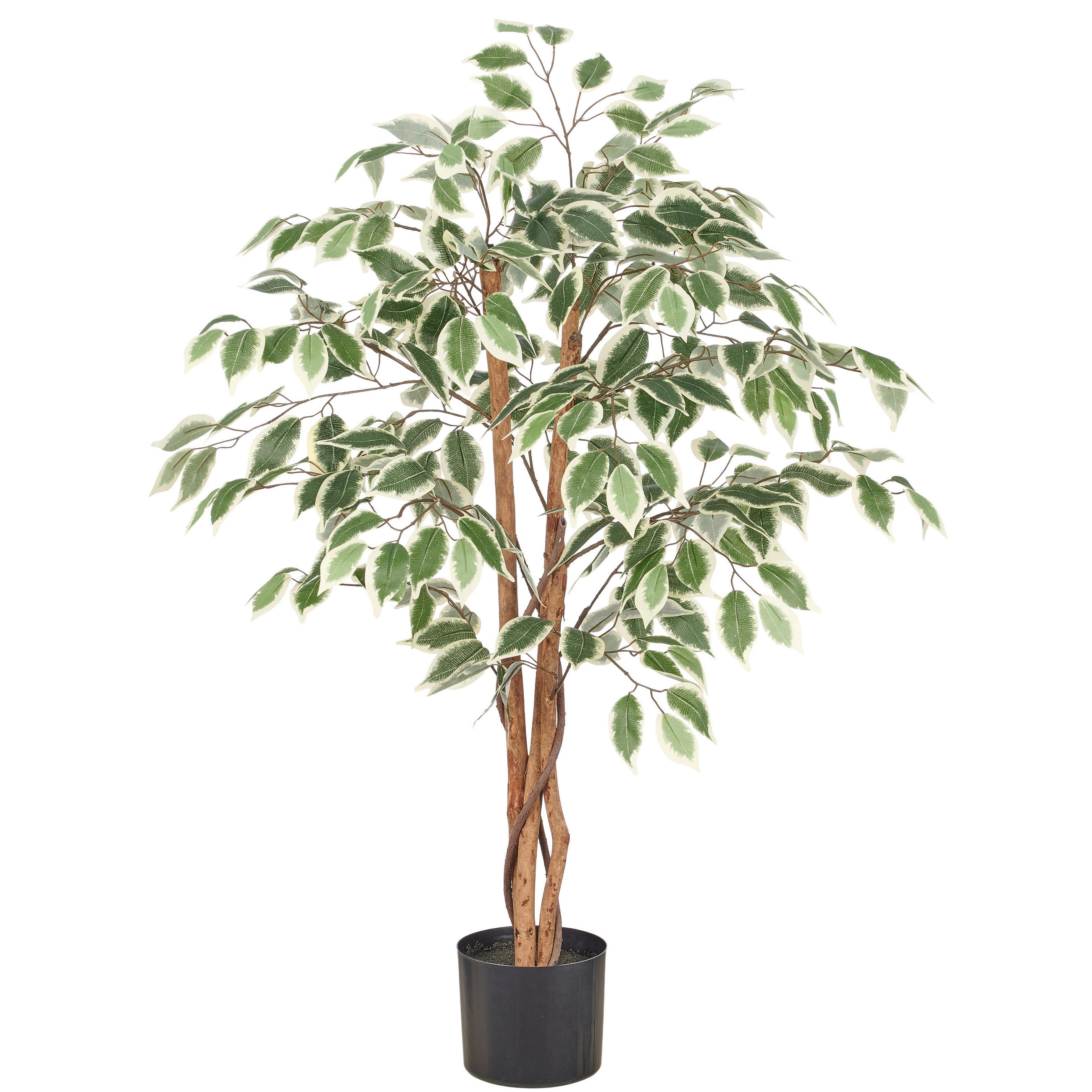 KUNSTPFLANZE Ficus Benjamina 100 cm  - Schwarz/Braun, Basics, Kunststoff (100cm)