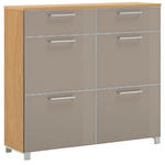 SCHUHSCHRANK 121/108/31 cm  - Taupe/Chromfarben, Design, Glas/Holz (121/108/31cm) - Novel