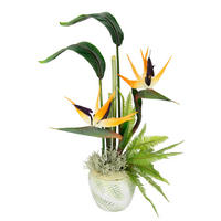 STRELITZIE  - Orange/Grau, LIFESTYLE, Keramik/Kunststoff (30/55cm)