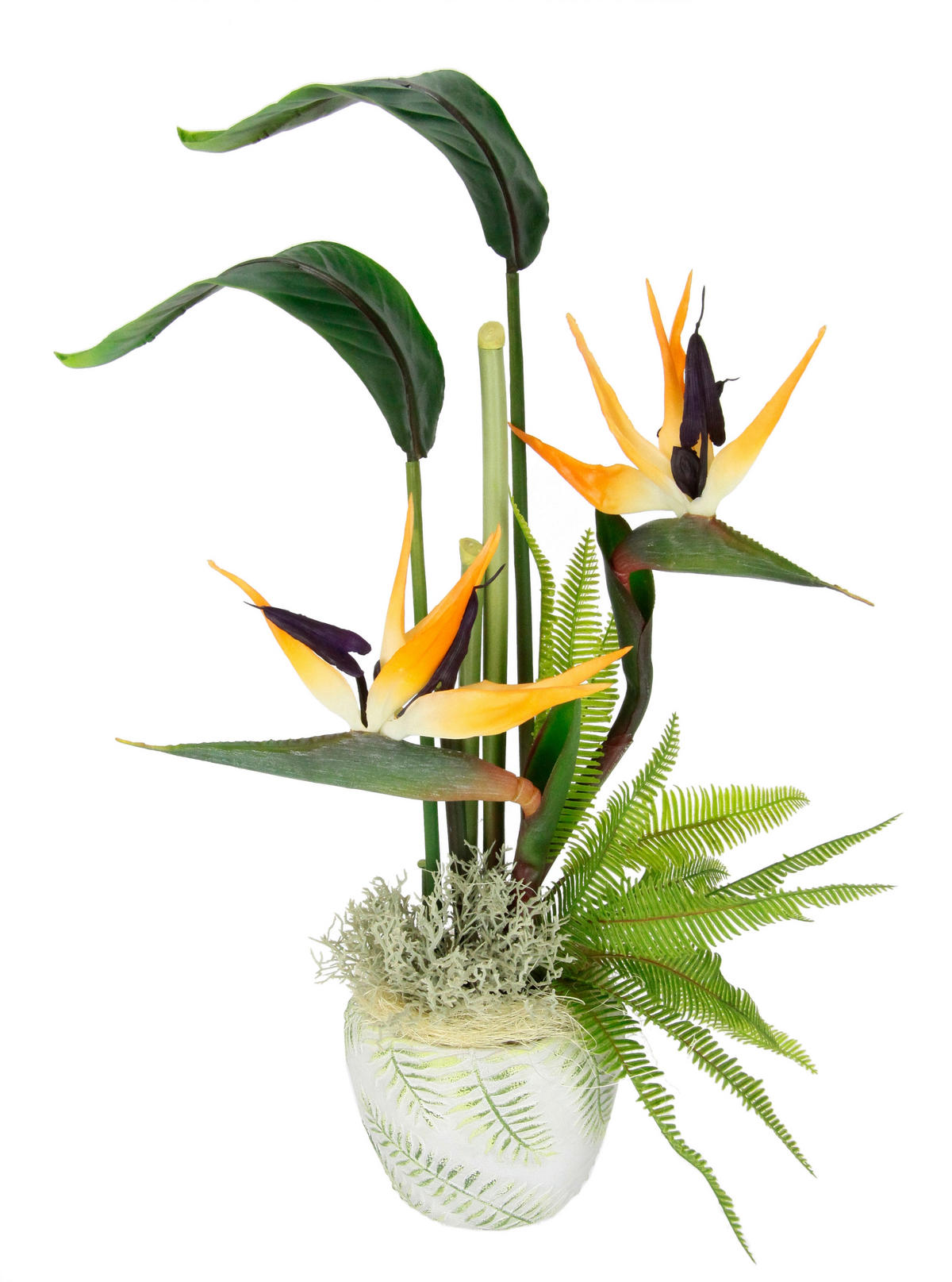 STRELITZIE  - Orange/Grau, LIFESTYLE, Keramik/Kunststoff (30/55cm)