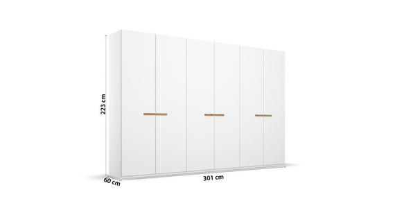 DREHTÜRENSCHRANK 301/223/60 cm 6-türig Weiß - Weiß, Trend, Holz/Holzwerkstoff (301/223/60cm) - Novel