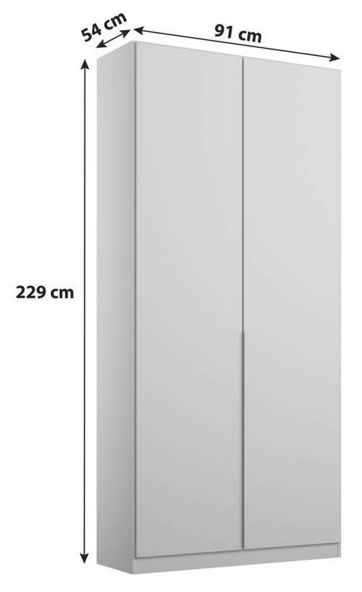 DREHTÜRENSCHRANK 91/229/54 cm 2-türig Sonoma Eiche  - Alufarben/Sonoma Eiche, MODERN, Holzwerkstoff/Metall (91/229/54cm) - Rauch Möbel