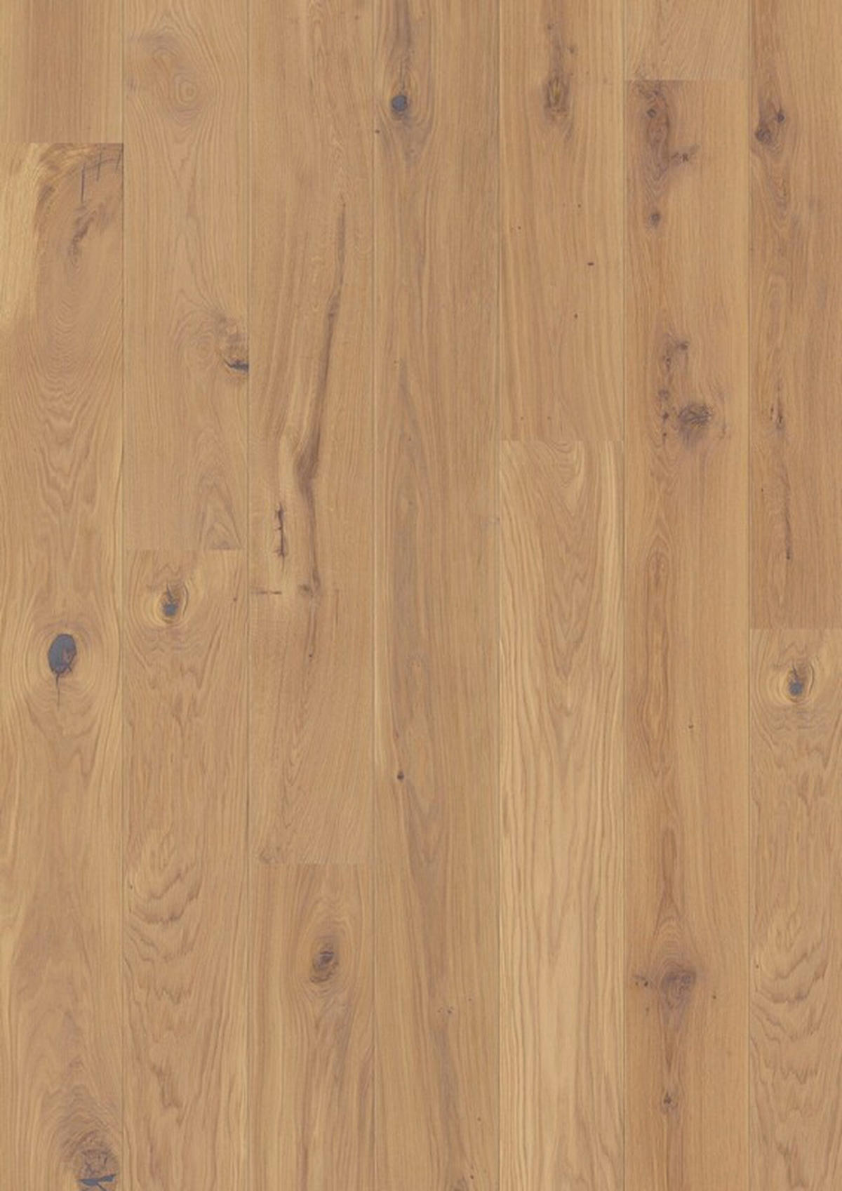 LANDHAUSDIELE Marcanto Trend Eiche Sahara Alpin 100012201  per  m² - Eichefarben, Trend, Holz (220,5/17,6/1,3cm) - Tilo