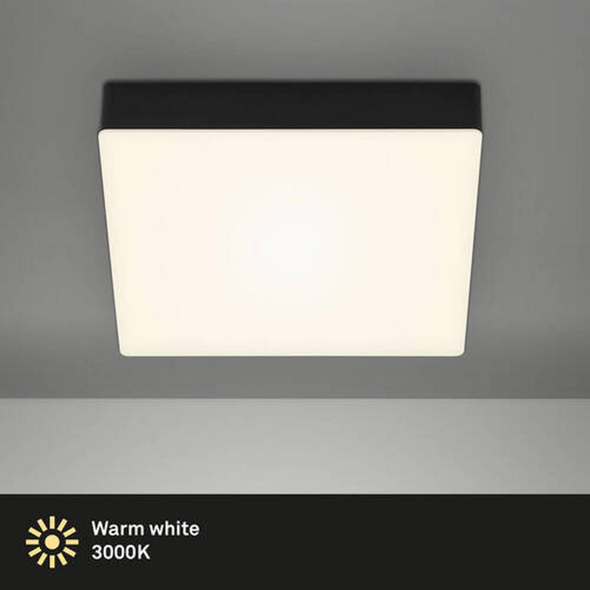 STROPNÍ LED SVÍTIDLO, 21,2/21,2/3,6 cm - černá, Basics, plast (21,2/21,2/3,6cm)