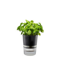 KRÄUTERTOPF 14,3/18,5 cm Schwarz, Edelstahlfarben, Transparent  - Edelstahlfarben/Transparent, KONVENTIONELL, Kunststoff/Metall (14,3/18,5cm) - Gefu