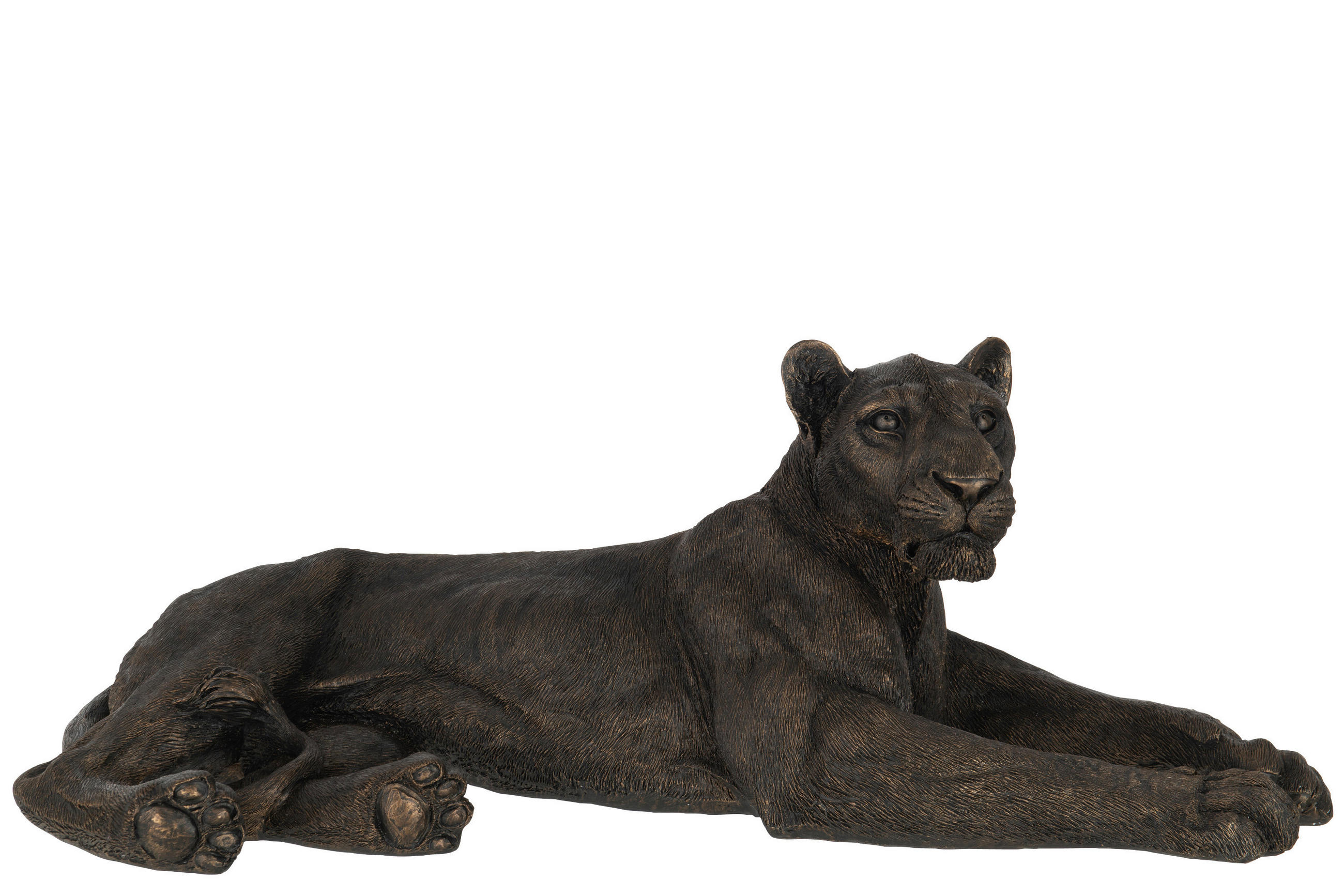 DEKOLÖWE - Bronzefarben, Basics, Kunststoff (79/38,5/29cm) - Ambia Home