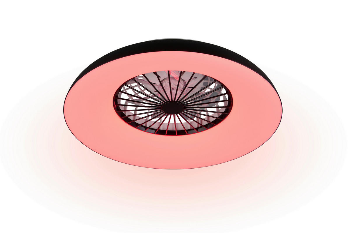DECKENVENTILATOR - Klar/Schwarz, Design, Kunststoff (60/19.5cm) - Trio Leuchten