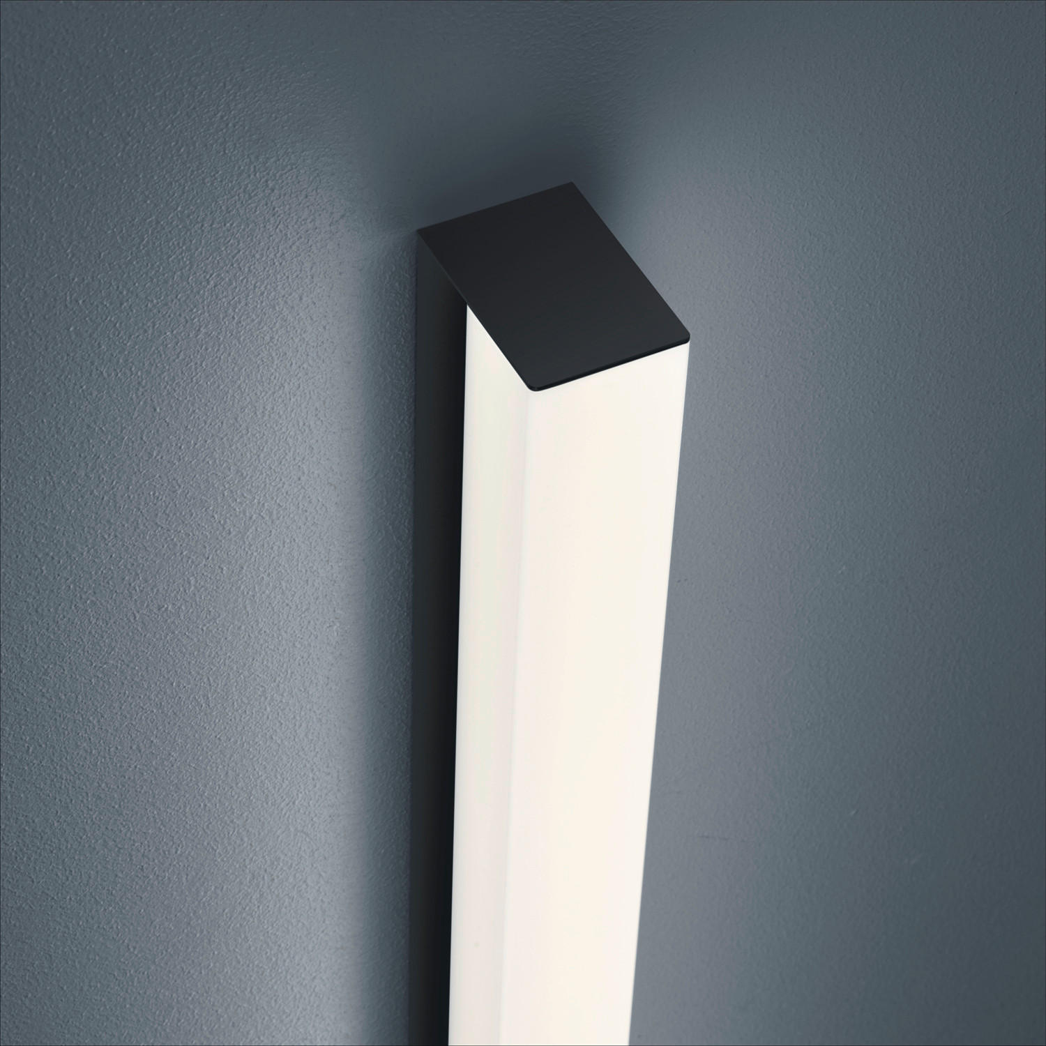 BADEZIMMER-WANDLEUCHTE - Schwarz, KONVENTIONELL, Kunststoff/Metall (6/4/60cm) - Helestra