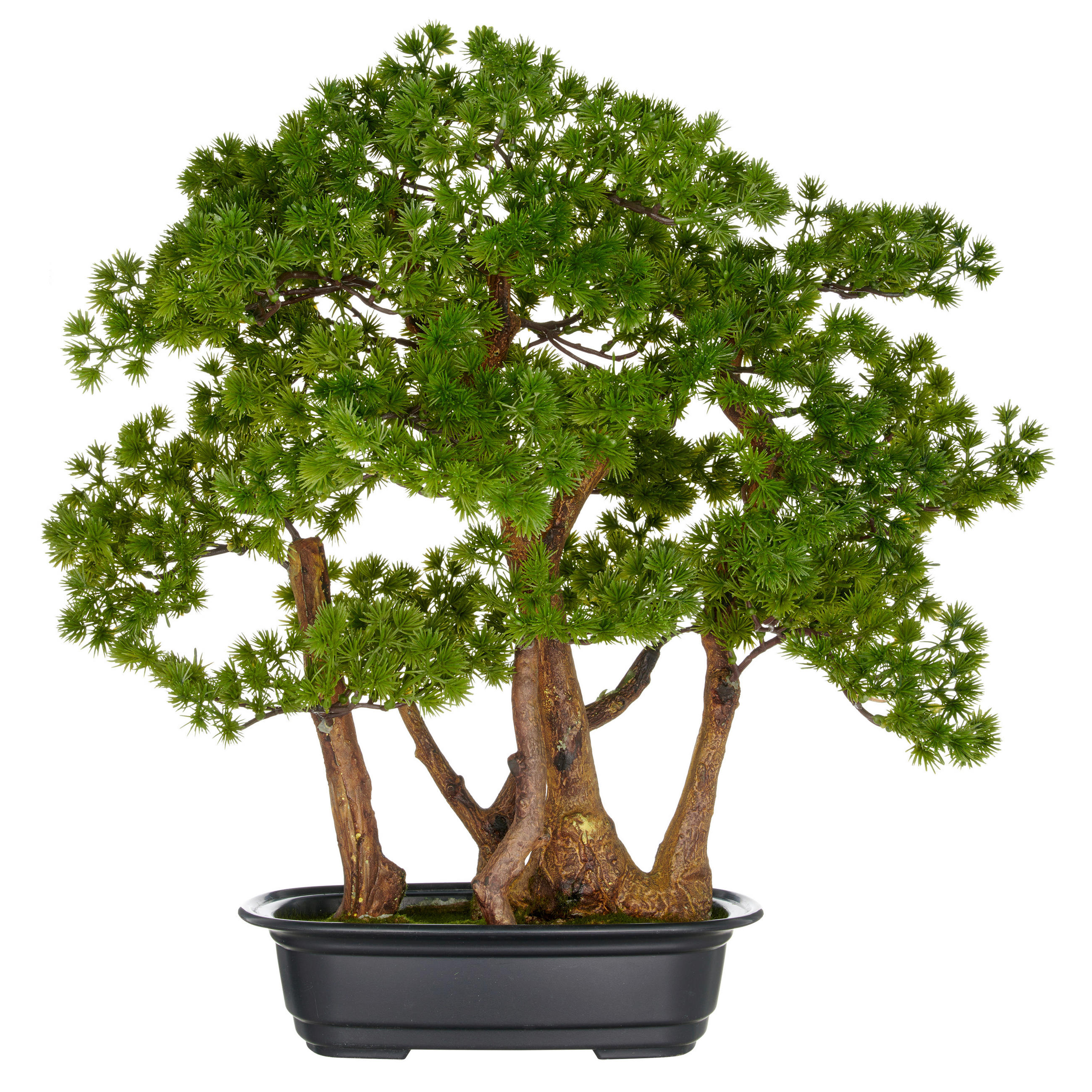 BONSAI Bonsai 50 cm  - Schwarz/Braun, Basics, Kunststoff (50cm) - P & B