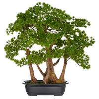 BONSAI Bonsai 50 cm  - Schwarz/Braun, Basics, Kunststoff (50cm) - P & B