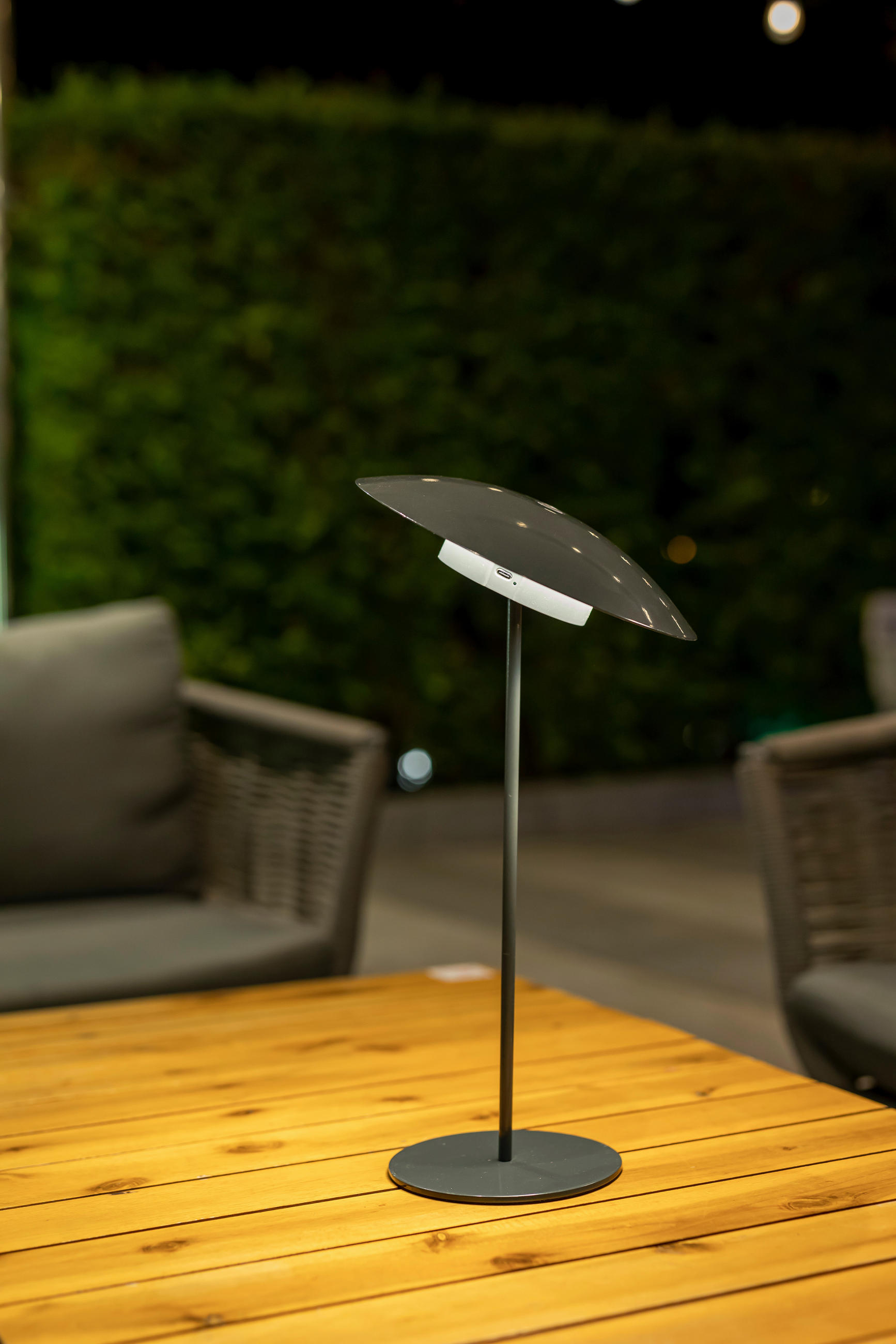 LED-AUßENLEUCHTE Sardina 22/40/22 cm   - Anthrazit, Basics, Metall (22/40/22cm) - New Garden