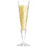 CHAMPAGNERGLAS - Basics, Glas (0,2l) - Ritzenhoff CHAMPAGNERGLAS - Basics, Glas (0,2l) - Ritzenhoff