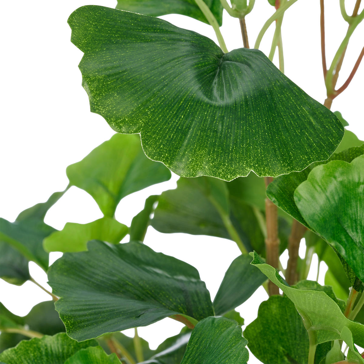 KUNSTPFLANZE Ginkgo 53 cm  - Hellbraun/Schwarz, Basics, Kunststoff (53cm)