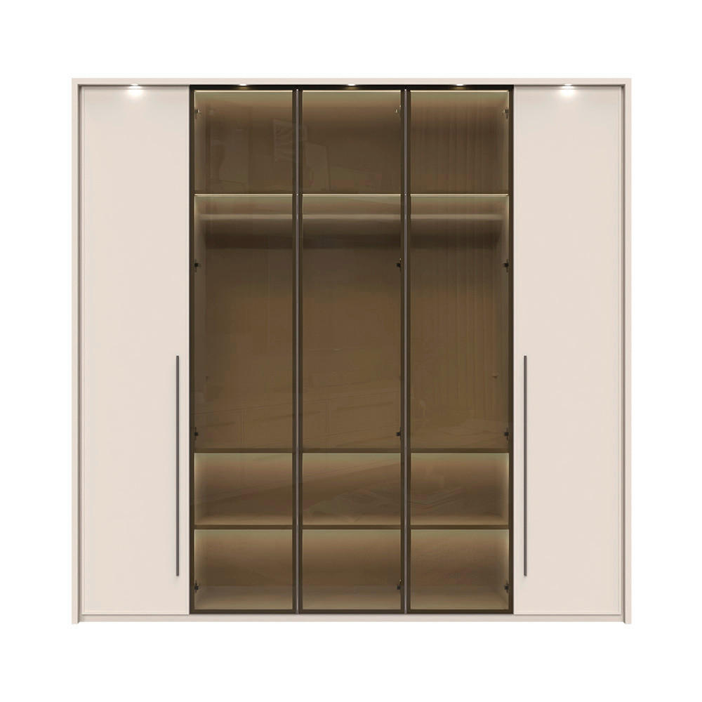 ORMAR SA KLASIČNIM VRATIMA  232/226/60 cm  - Dizajnerski, staklo/metal (232/226/60cm)