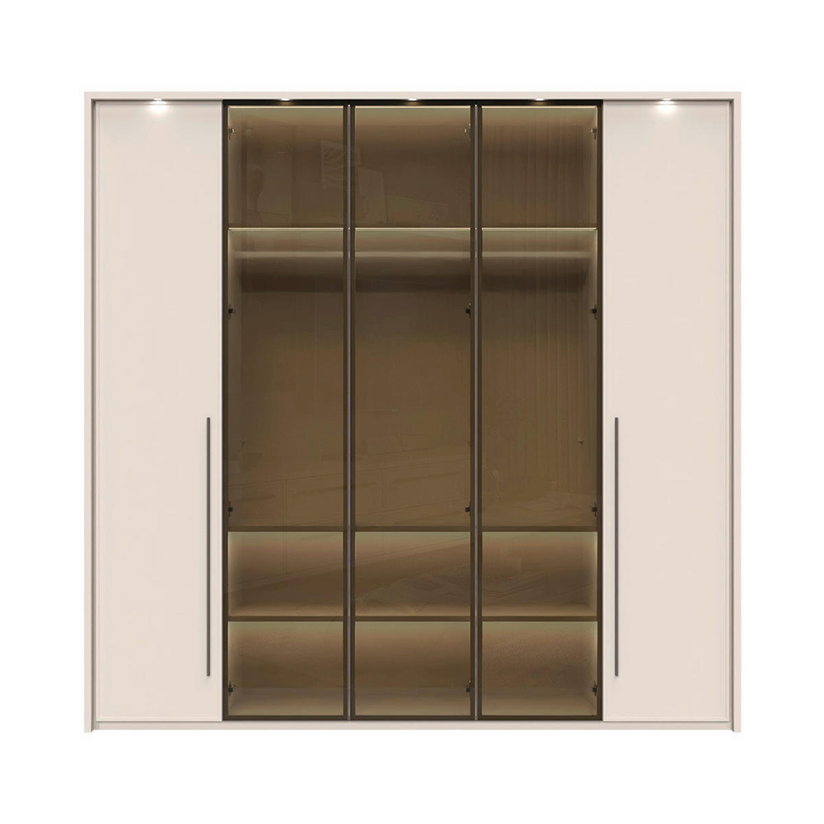 ORMAR SA KLASIČNIM VRATIMA  232/226/60 cm  - Dizajnerski, staklo/metal (232/226/60cm)