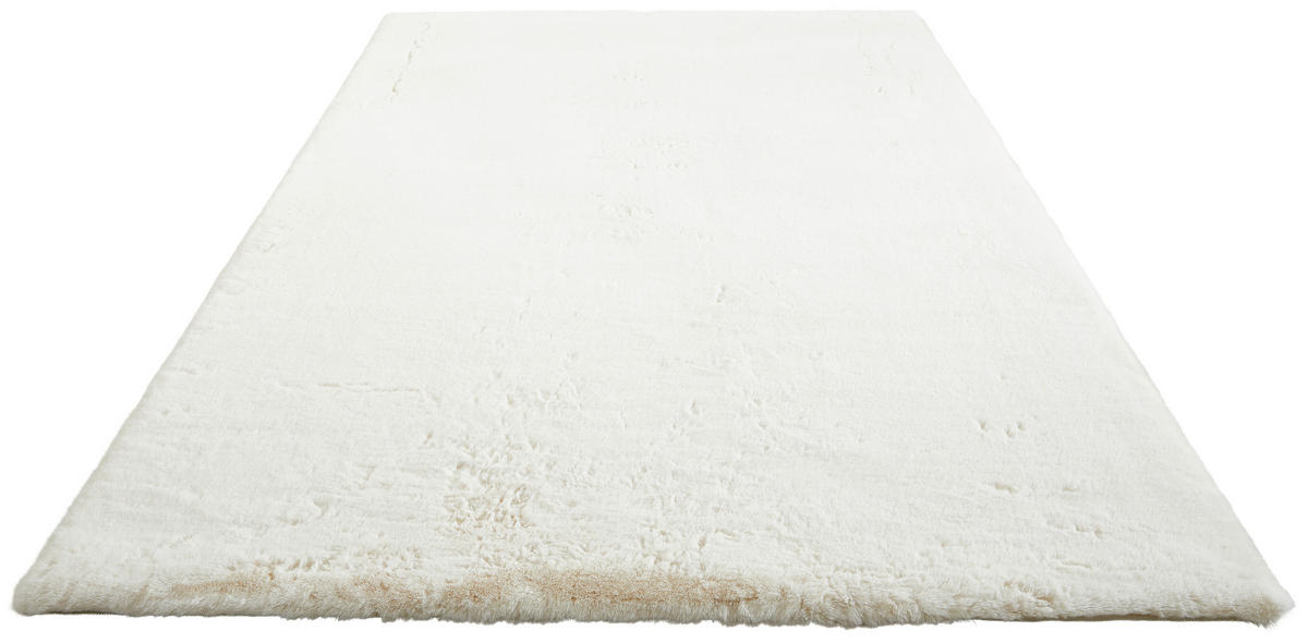 HOCHFLORTEPPICH 80/150 cm Sapa Beige  - Beige, Basics, Textil (80/150cm) - Novel