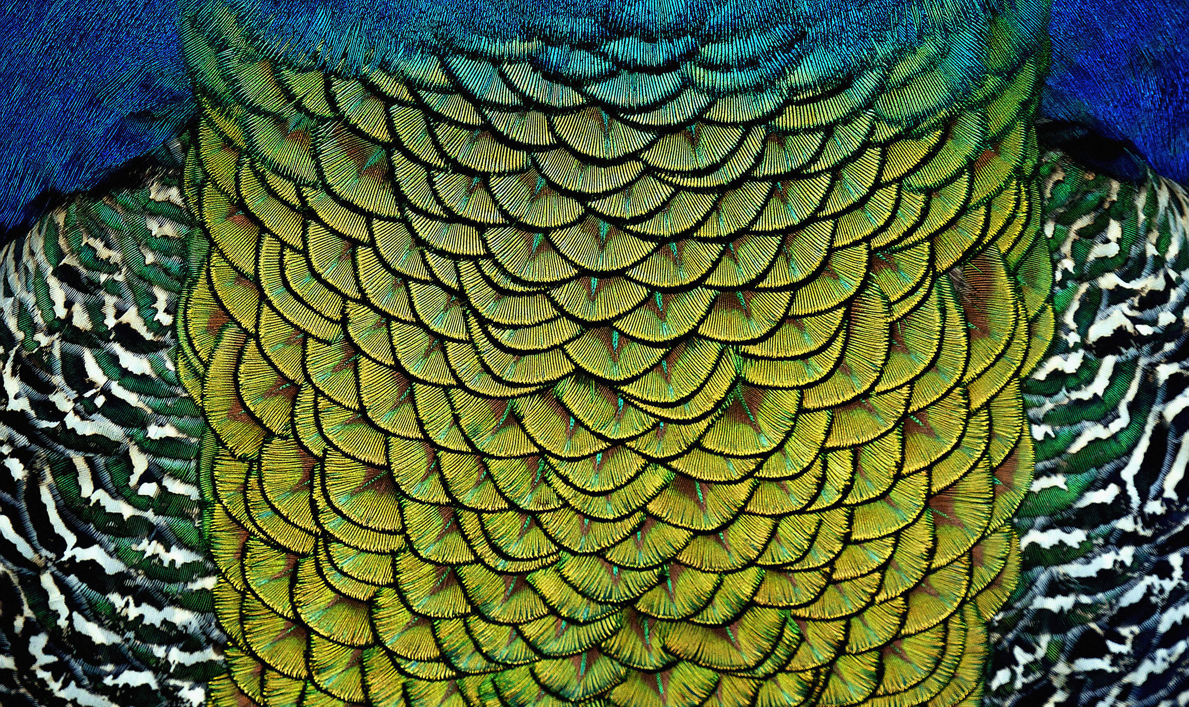 ALUMINIUMBILD 118/70 cm  - Multicolor, Design, Kunststoff/Metall (118/70cm)