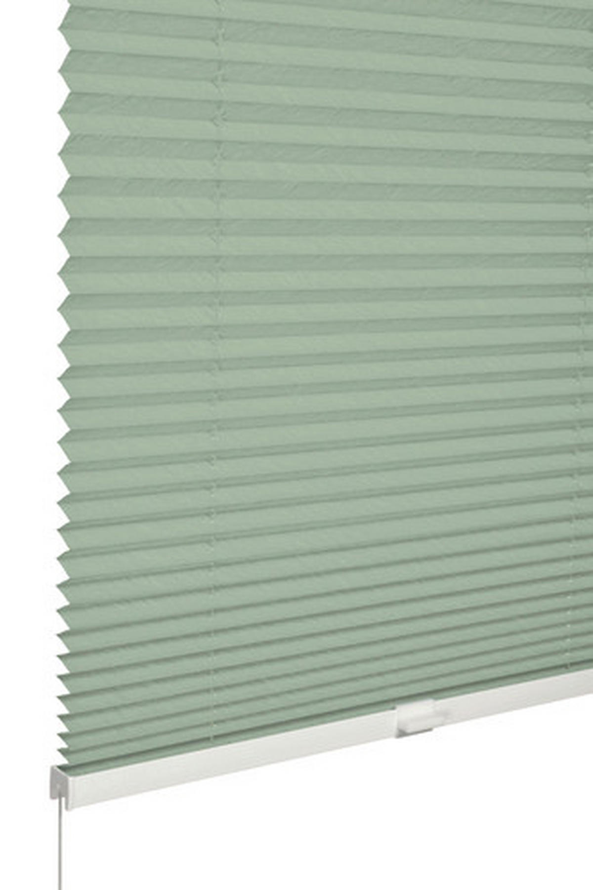PLISSÉGARDIN  - grön, Basics, textil (80/220cm) - Schöner Wohnen