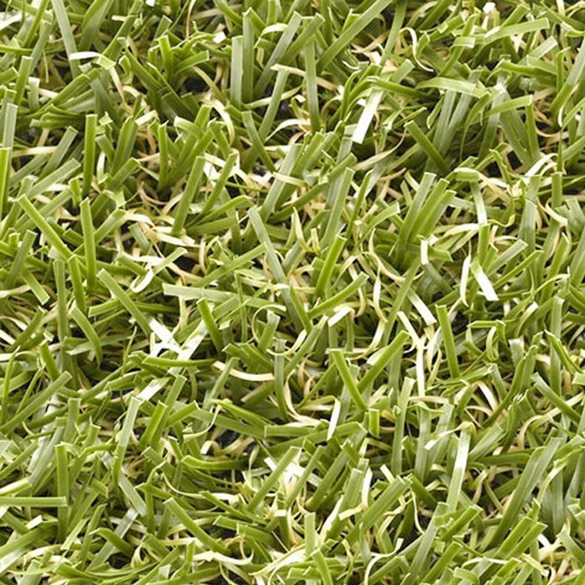 RASENTEPPICH - Grün, Basics, Kunststoff (100/500cm) - Floordirekt