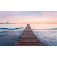 NON WOVEN-TAPET 400/250 cm  - Natur (400/250cm)