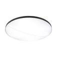 LED-DECKENLEUCHTE 79,5/10,5 cm   - Schwarz, Design, Kunststoff/Metall (79,5/10,5cm) - Novel