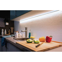 LED-STRIP 250 cm   - Silberfarben, Basics, Kunststoff (250cm) - Paulmann