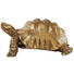DEKOSCHILDKRÖTE - Goldfarben, Basics, Kunststoff (95/77/43cm) - Ambia Home