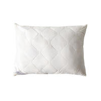 Pernă Pentru Dormit  Sleeptex  - Basics (50/70/15cm) - Sleeptex