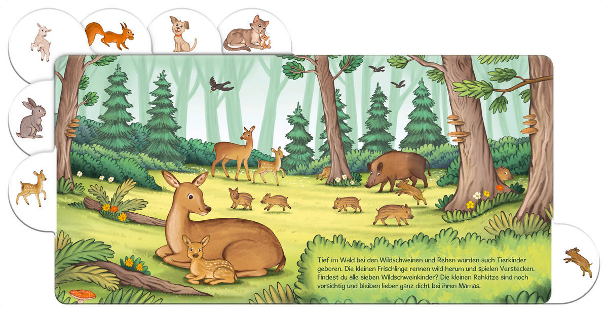 BUCH  - Multicolor, Basics, Papier (19/19/1,3cm) - Carlsen