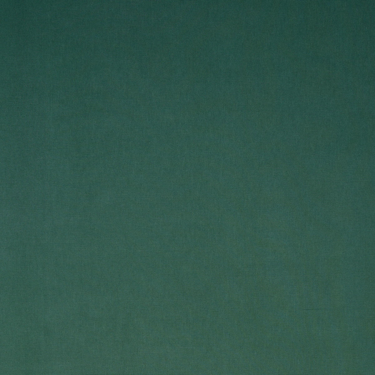 HOTOVÝ ZÁVĚS, neprůsvitné, 140/255 cm - tmavě zelená, Basics, textil (140/255cm) - Bio:Vio