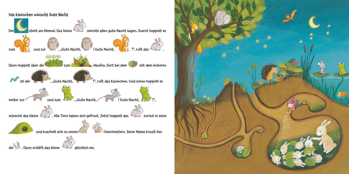 BILDERBUCH - Basics (20/20/1,4cm) - Carlsen