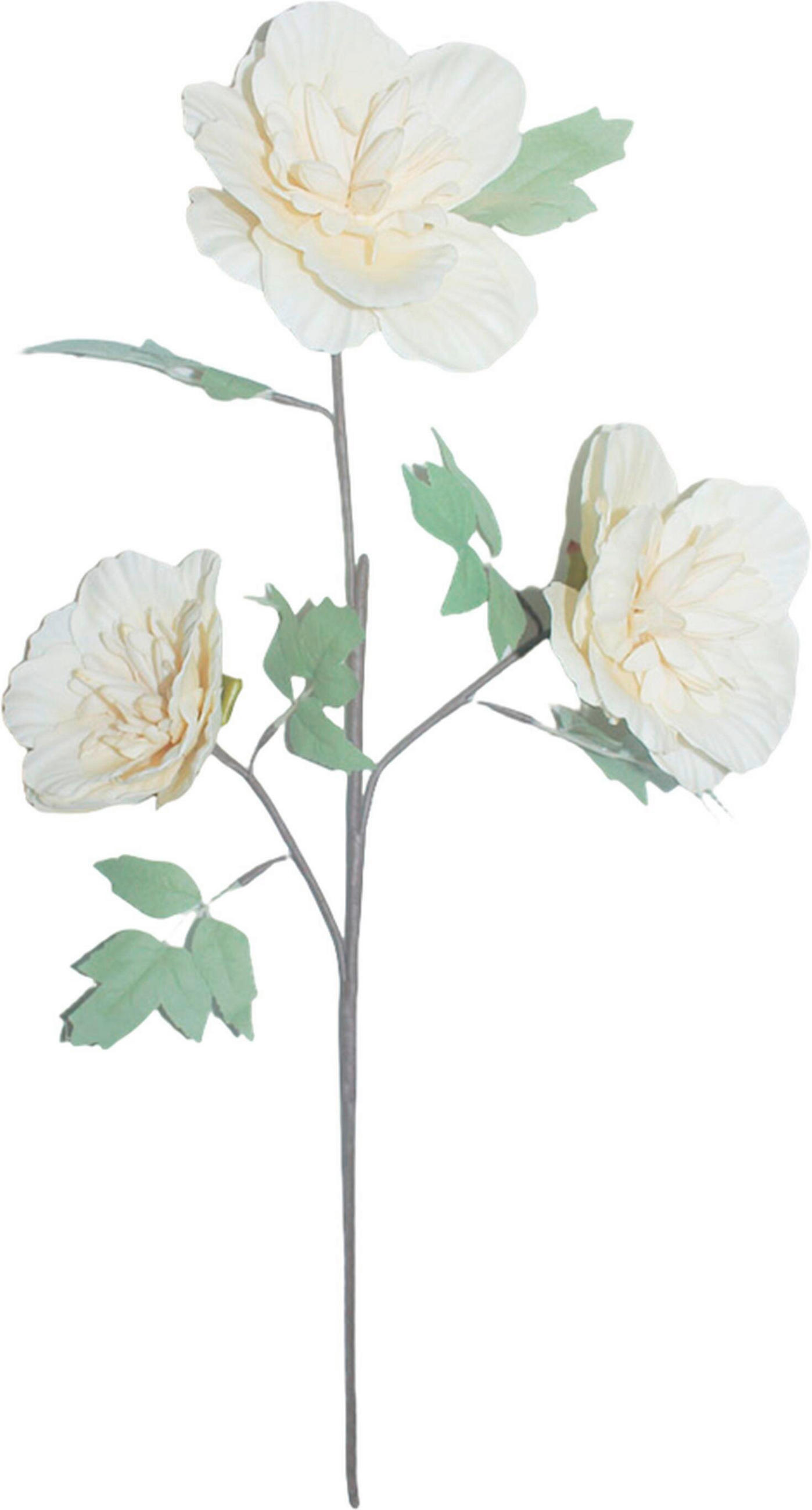 UMĚLÁ KVĚTINA 84 cm - krémová/hnědá, Basics, kov/plast (84cm) - Ambia Home