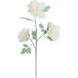 KUNSTBLUME - Creme/Braun, Basics, Papier/Kunststoff (84cm) - Ambia Home