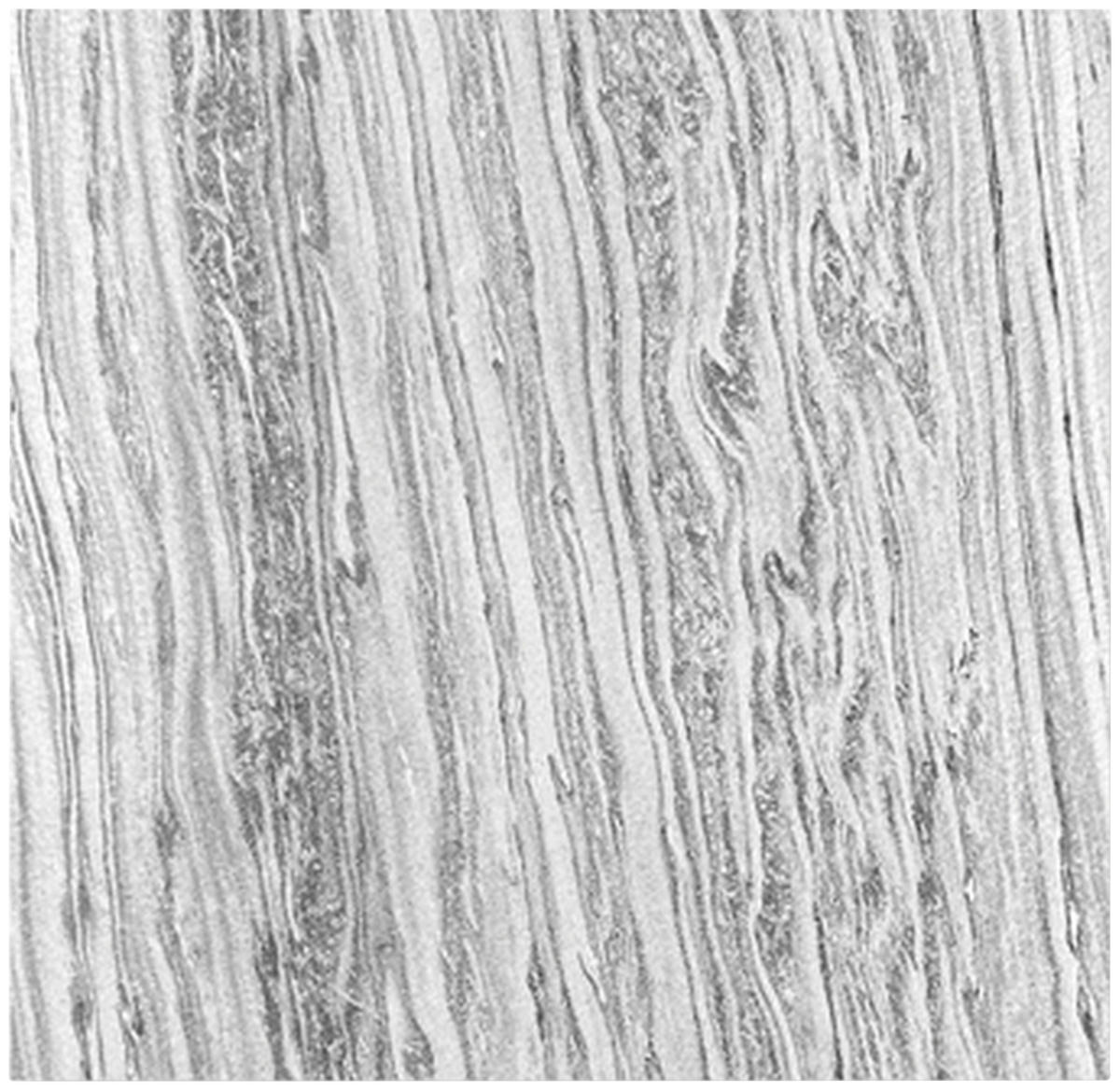 AKUSTIKPANEEL Echtstein Jangal Modular Wall System 52/52/0.7 cm  - Hellgrau, MODERN, Textil/Stein (52/52/0.7cm) - Jangal