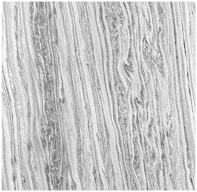 Jangal Akustikpaneel Echtstein Jangal Modular Wall System Hellgrau 52x52x0.7 cm