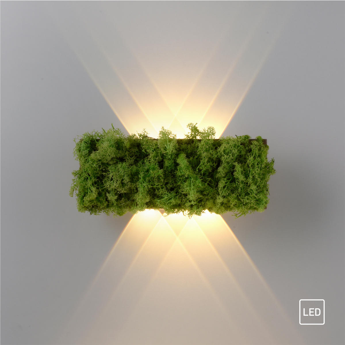 WANDLEUCHTE Carlo 32/6/12 cm   - Natur, Naturmaterialien (32/6/12cm)