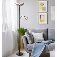 LED SVJETILJKA PODNA  - svijetlo siva/crna, Konvencionalno, staklo/metal (30/178cm) - Globo