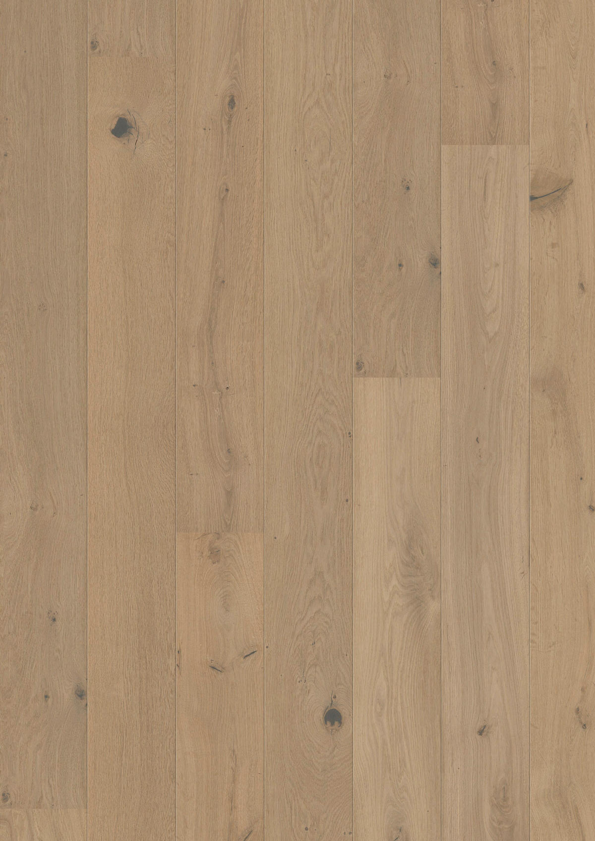 LANDHAUSDIELE Marcanto Trend Eiche Crema!Pur 100011701  per  m² - Design, Holz (220,5/17,6/1,3cm) - Tilo