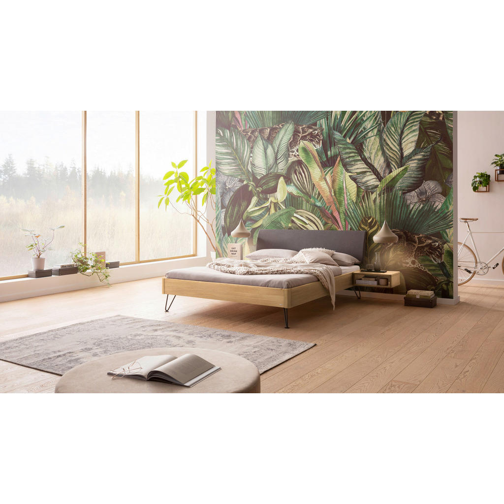 Thumbnail - Hasena Bett, Anthrazit, Eiche, Dunkelgrau, Holz, Eiche, massiv, Höhe ca. 22 cm, 140x200 cm, in verschiedenen Holzarten e...