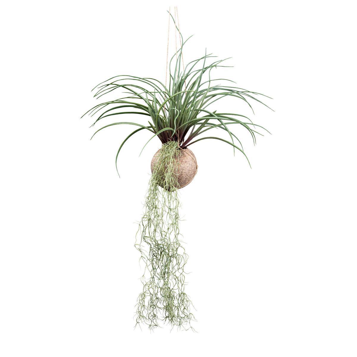 KUNSTPFLANZE 72 cm  - Grün, Design, Naturmaterialien/Kunststoff (72cm) - P & B