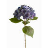 HORTENSIE Hortensie  - Blau/Grün, Basics (60cm)