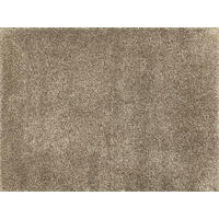 FUßMATTE  75/100 cm  Beige  - Beige, Basics, Kunststoff/Textil (75/100cm) - wash+dry