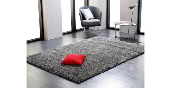 HOCHFLORTEPPICH 160/230 cm FASHION SHAGGY Grau - Grau, Basics, Textil (160/230cm) - Novel