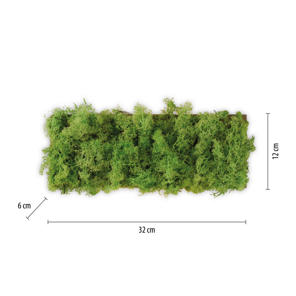 WANDLEUCHTE Carlo 32/6/12 cm   - Natur, Naturmaterialien (32/6/12cm)