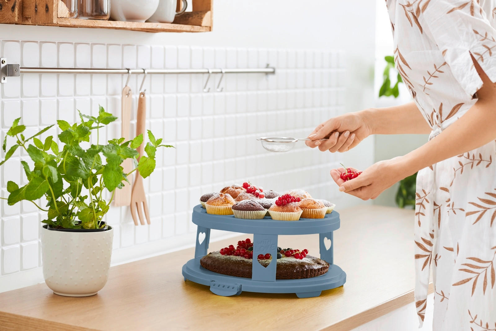 KUCHENTRANSPORTBOX - Blau/Transparent, Basics, Kunststoff (35,5/34,5/26cm) - Rotho