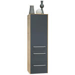 MIDISCHRANK 37/121/33 cm  - Chromfarben/Schwarz, MODERN, Glas/Holzwerkstoff (37/121/33cm) - Dieter Knoll