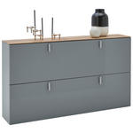 SCHUHKIPPER  in 140/79/28 cm  - Eichefarben/Alufarben, Design, Holz/Holzwerkstoff (140/79/28cm) - Dieter Knoll