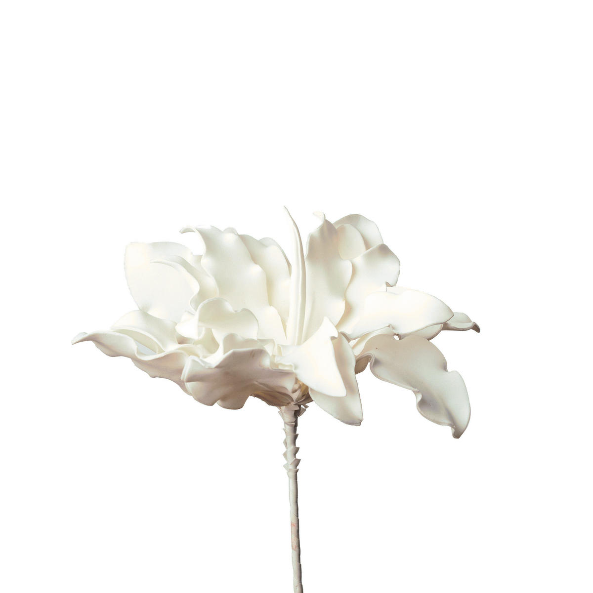 UMĚLÁ KVĚTINA protea 38 cm - bílá, Basics, plast (38cm)