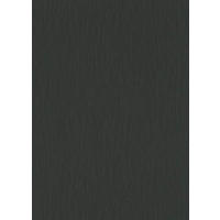 TAPETA   - Basics (53*1000cm)
