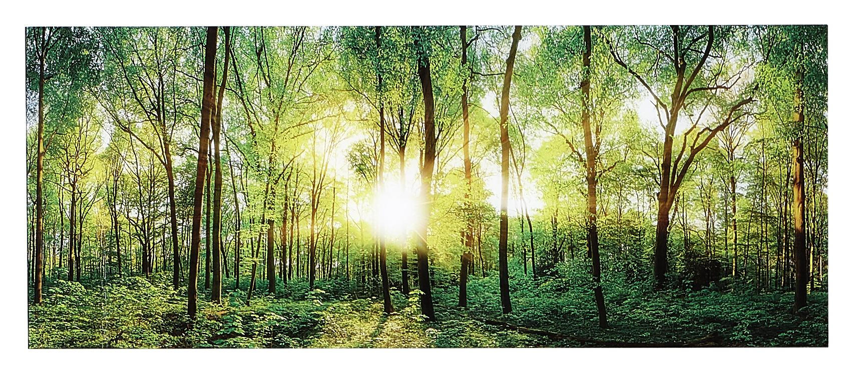 Glasbild 125x50 Cm Landschaftsmotiv Online Shoppen